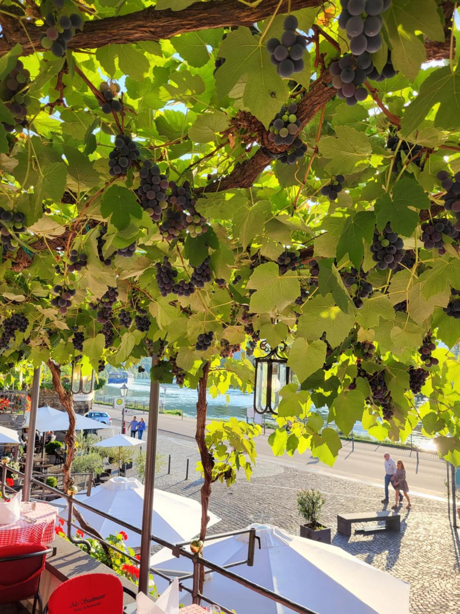 Hotel Restaurant Alte Stadtmauer Beilstein  Zewnętrze zdjęcie