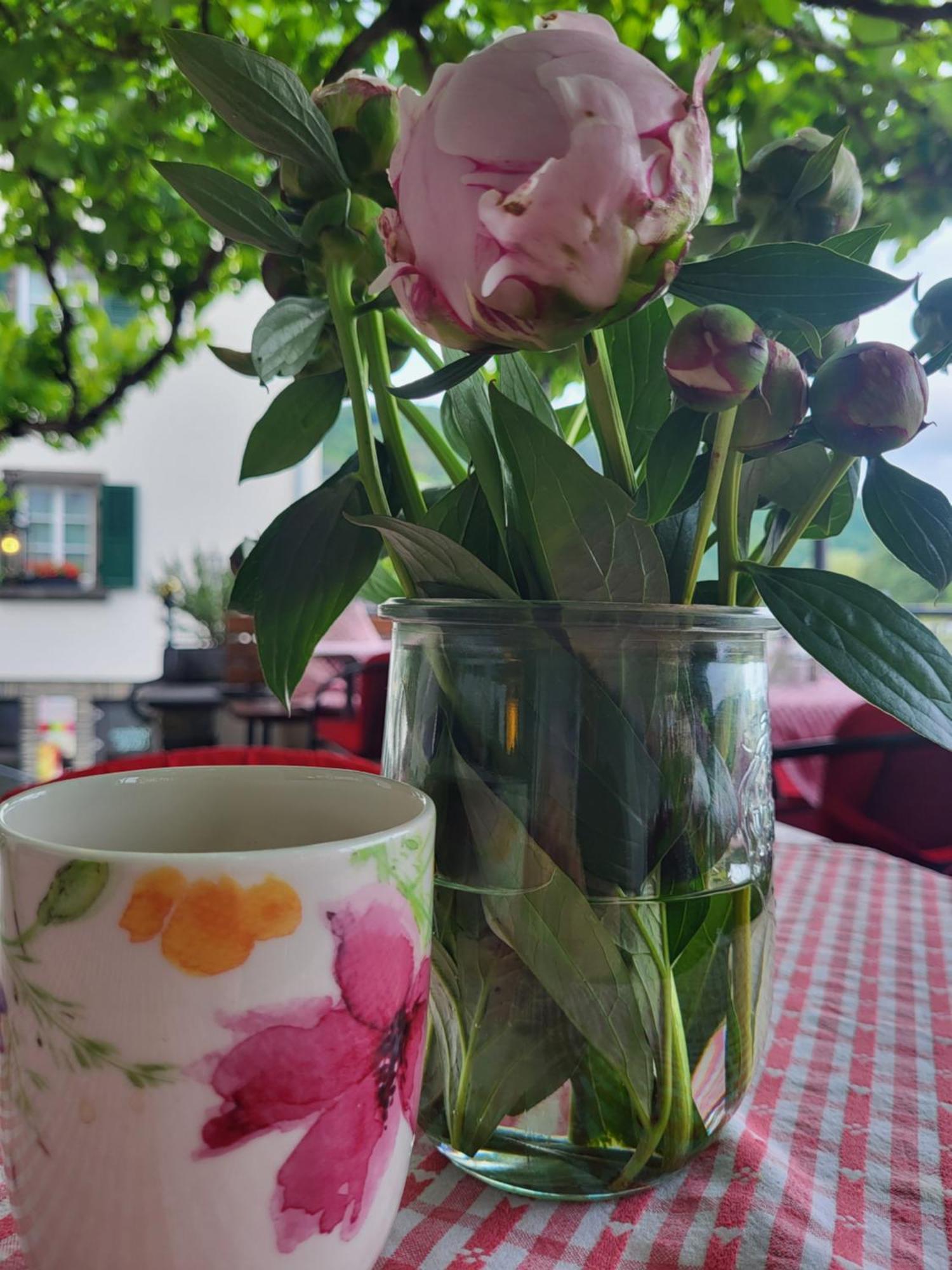 Hotel Restaurant Alte Stadtmauer Beilstein  Zewnętrze zdjęcie